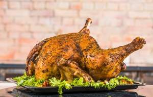 گوشت مرغ فایده بیشتری دارد یا بوقلمون؟