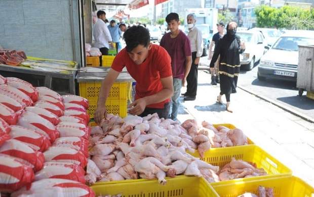 عرضه مرغ به بازار ۱۱ درصد افزایش یافت