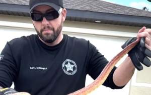 گیر کردن مار ۶ متری زیر کاپوت خودرو +عکس