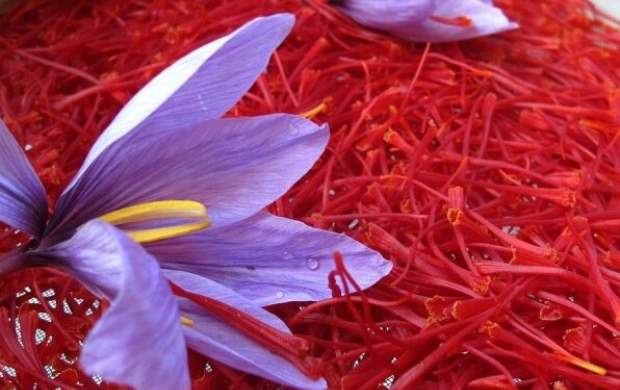 زعفران دارای روز ملی شد