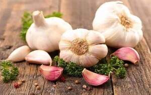 خواص سیر برای کلیه