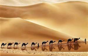 صحرای فوق‌العاده عربستان با رنگی خاص  <img src="https://cdn.jahannews.com/images/video_icon.gif" width="16" height="13" border="0" align="top">