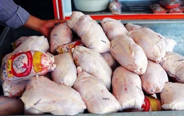 کاهش قیمت مرغ ادامه دارد