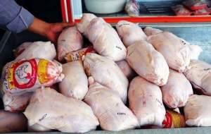 کاهش قیمت مرغ ادامه دارد