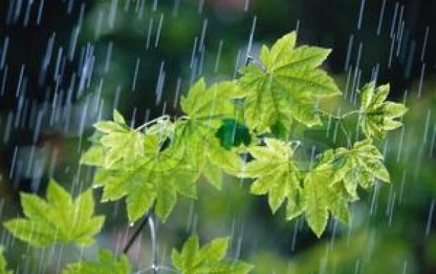 تداوم بارش در ۲۴ استان