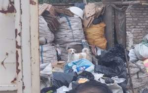 دومین منزل انباشت زباله در بجنورد کشف شد