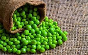 کاهش سریع وزن با این ماده سبزرنگ