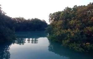 فیلم/ کوچکترین جزیره خلیج فارس  <img src="https://cdn.jahannews.com/images/video_icon.png" width="16" height="16" border="0" align="top">