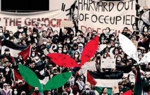 استقبال شاعران از نامه آقا به جوانان آمریکایی