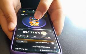 پیامدهای غرق شدن در «همستر»