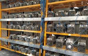 پاداش ۵۰ میلیونی برای معرفی ماینر غیرمجاز