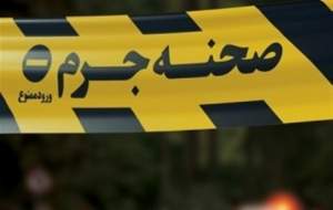 اختلاف خانوادگی منجر به قتل همسر شد