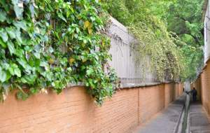 کوچه‌های قدیمی شمیران احیا می‌شود