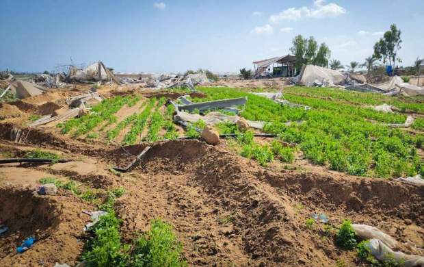 تخریب آخرین سبد غذایی فلسطینیان در جنوب نوار غزه