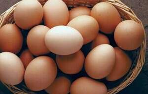 آیا تخم‌مرغ برای حافظه مفید است؟