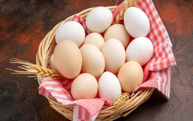 چگونه از سلامت تخم مرغ‌ها مطمئن شویم؟