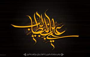 بزرگترین فضیلت امیرالمومنین(ع) در قرآن از نظر امام رضا(ع)