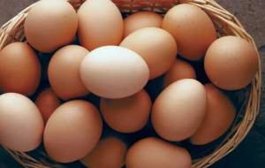 آیا تخم‌مرغ برای حافظه مفید است؟
