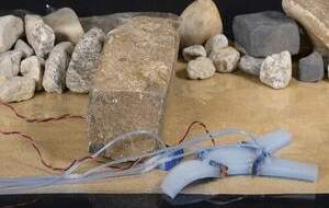 رباتی که اعضای خود را قطع می کند