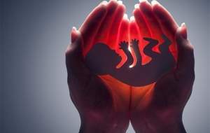 آمار عجیب سقط جنین در کشور