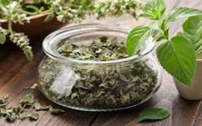 فیلم/ قوی‌ترین ضد استرس!  <img src="https://cdn.jahannews.com/images/video_icon.png" width="16" height="16" border="0" align="top">