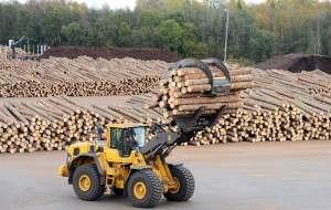 صنعت چوب فنلاند با بحران روبرو شد