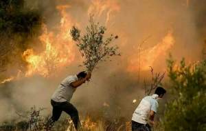 منطقه حفاظت شده «کوه سرخ» در آتش می سوزد