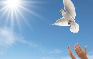 قاتل پس از ۱۸ سال از دار مجازات نجات یافت