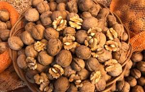 برای سلامت مغز روزانه چند عدد گردو بخوریم؟