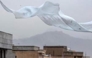 وزش باد و گردوخاک در نوار شرقی ایران