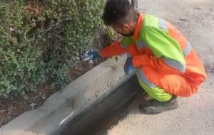 برخورد با موش‌های شهری در بجنورد