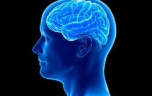 مهم‌ترین عوامل تخریب کننده حافظه