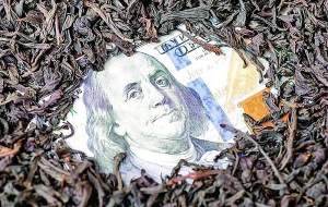 جزئیات تازه از پرونده چای دبش  <img src="https://cdn.jahannews.com/images/video_icon.png" width="16" height="16" border="0" align="top">