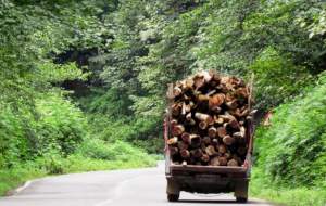 آژیر خطر برای محیط زیست کشور