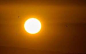 تابستان ۲۰۲۴ گرم‌ترین تابستان تاریخ شد