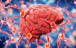 نور زیاد خطرناک است