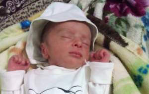 جزئیات شگفت‌انگیز تولد ۷ نوزاد