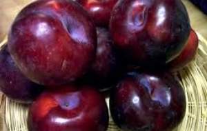 میوه‌ای مفید برای پوکی استخوان