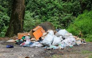 سوغات مسافران بی‌فرهنگ‌ در جنگل‌های‌هیرکانی