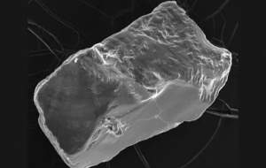 هوش مصنوعی تاریخچه زمین را کشف می‌کند