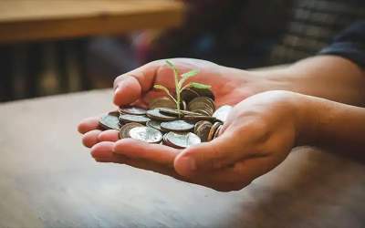 صدقه هرس مال برای برکت و رشد