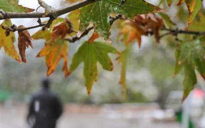 کاهش محسوس دما در برخی استان‌ها