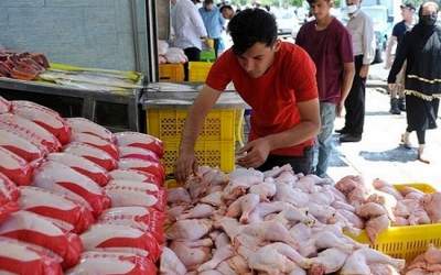 چرا مرغ کیلویی ۹۰ هزار تومان شد؟