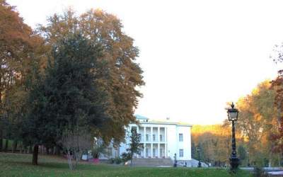 «سیدمحسن میر» سرپرست کاخ سعدآباد شد