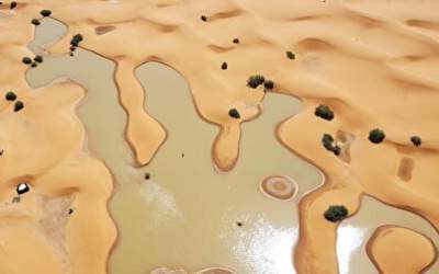 فیلم هوایی از سیل بی‌سابقه در صحرای آفریقا  <img src="https://cdn.jahannews.com/images/video_icon.png" width="16" height="16" border="0" align="top">