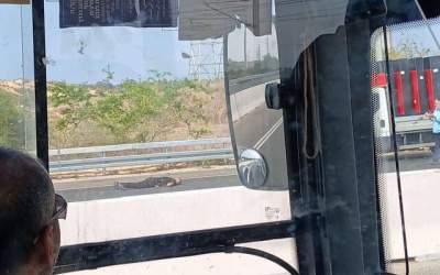 کشته و زخمی شدن ۳ صهیونیست در اشدود +فیلم  <img src="https://cdn.jahannews.com/images/video_icon.png" width="16" height="16" border="0" align="top">