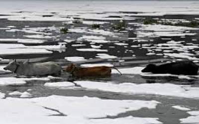 کف‌های سمی رودخانه مقدس هندو‌ها  