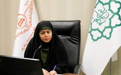 تاکسی‌های برقی چینی به تهران رسیدند