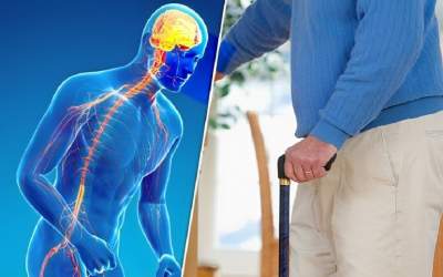 این پروتئین باعث افزایش پارکینسون می‌شود