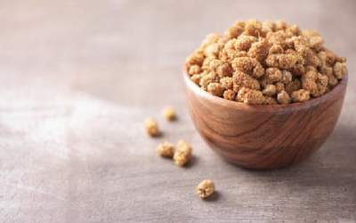 تقویت سیستم ایمنی بدن با توت خشک